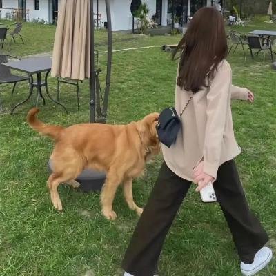 意外触碰
