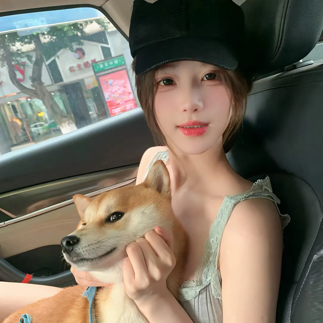 最后的维米尔